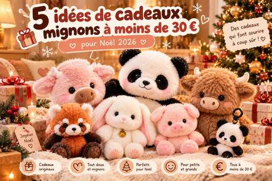 5 idées de cadeaux mignons à moins de 30 € pour Noël 2026 Floomie